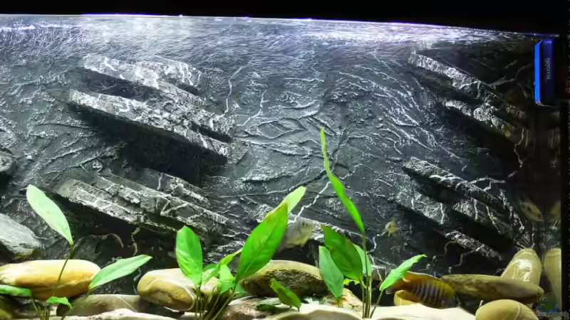 Aquarium Becken 4144 von Christian Klar (3)