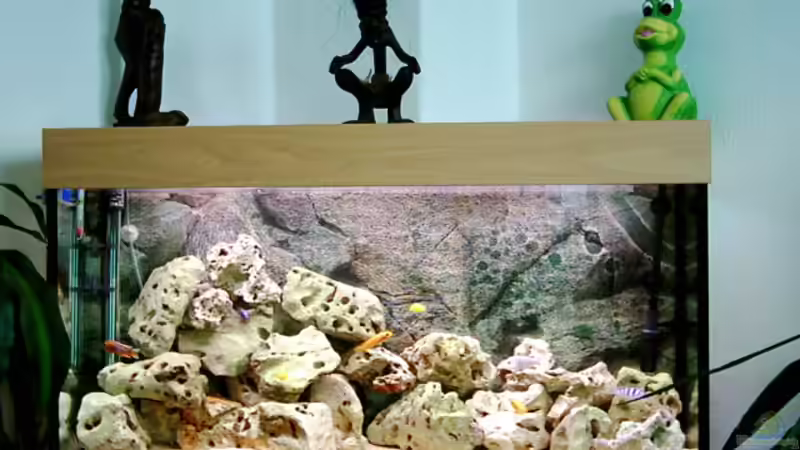 Aquarium Becken 415 von Kay Bergmann (2)