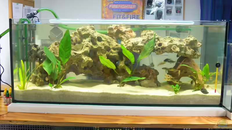 Aquarium Becken 4151 von Christian Klar (2)