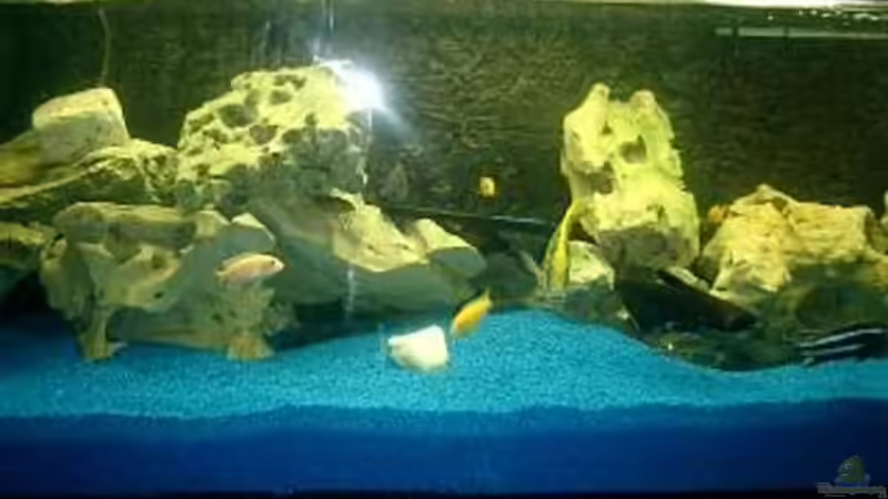 Aquarium Becken 422 von Peter Fröse (3)