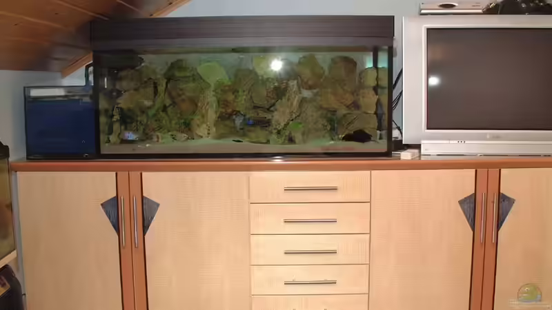 Aquarium Becken 425 von Josef Schwarz (5)