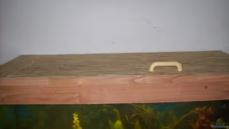 Aquarium Becken 4266 von Robert Borowiak (5)