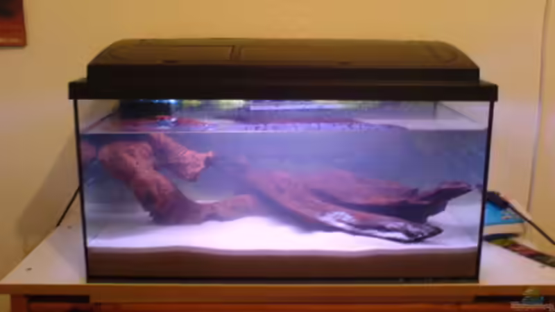 Aquarium Becken 4280 von Thomas Greve (2)