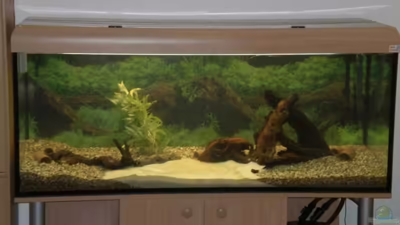 Aquarium Becken 4396 von Jockwer Rene´ (8)