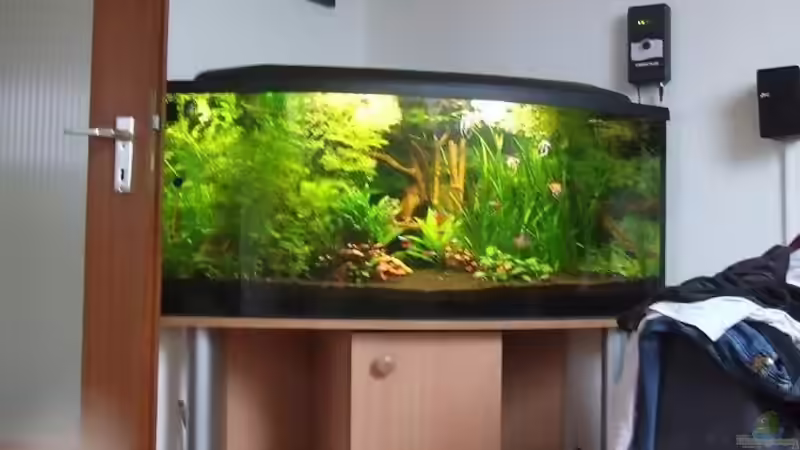 Aquarium Becken 4427 von Mellie (3)