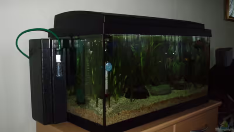 Aquarium Becken 4483 von Martin Ziegele (2)