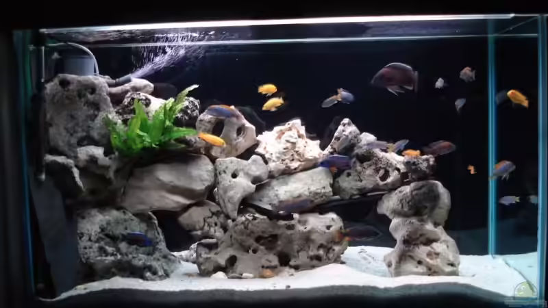 Aquarium Becken 4511 von Miki Öry (2)