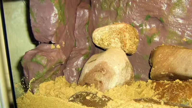 Aquarium Becken 4522 von Dennis Klusmann (4)