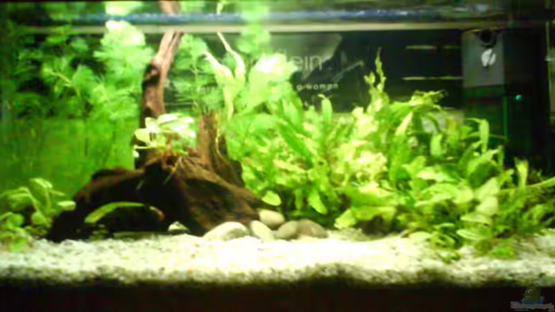 Aquarium Becken 4529 von Tim (4)