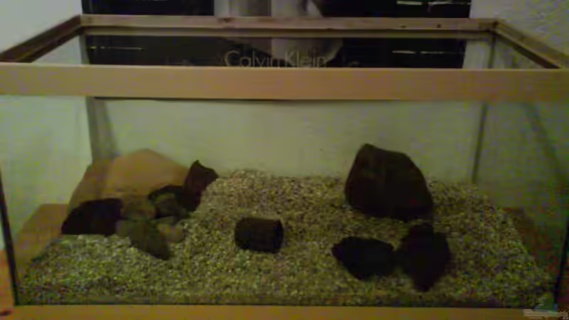 Aquarium Becken 4529 von Tim (6)