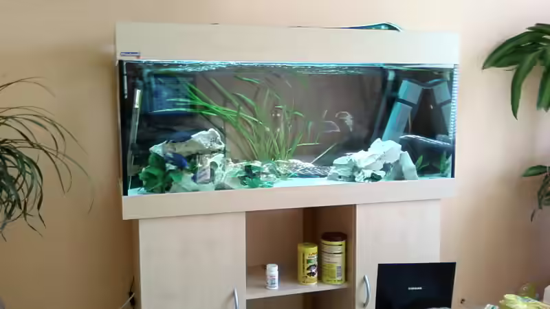 Aquarium Becken 4553 von Jonny84 (5)
