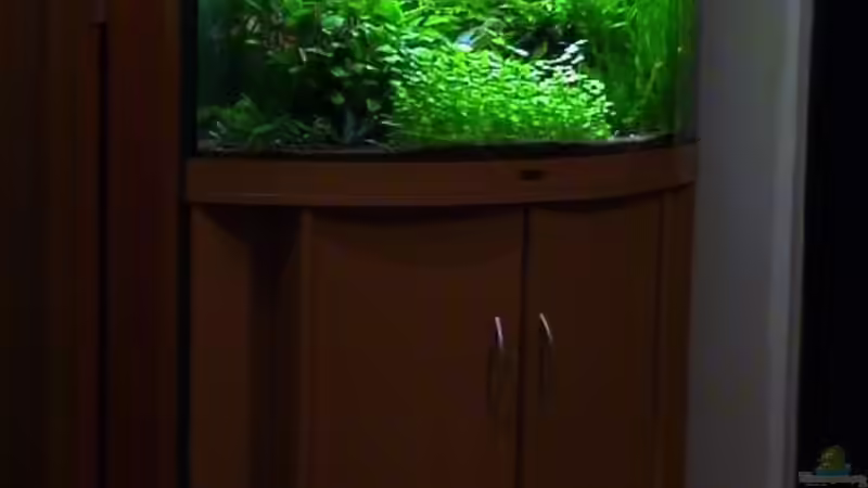 Aquarium Becken 4573 von Alexander Müller (4)