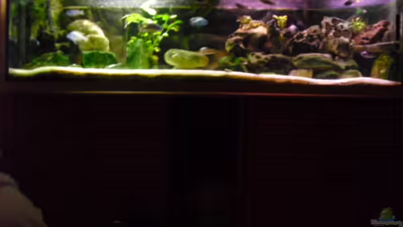 Aquarium Becken 4607 von FischfanAQ (6)