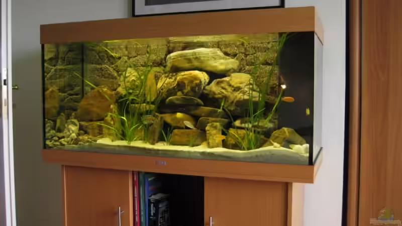 Aquarium Becken 4622 von Manuel Huemer (2)