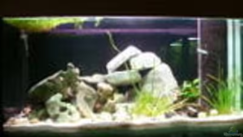 Aquarium Becken 465 von Eva Weixler (2)