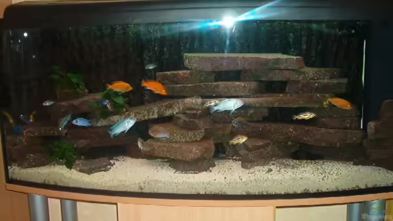 Aquarium Becken 470 von André Moll (2)