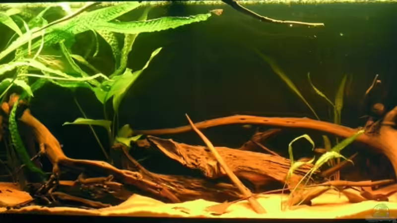 Aquarium Becken 4750 von Sebastian Zunhammer (2)