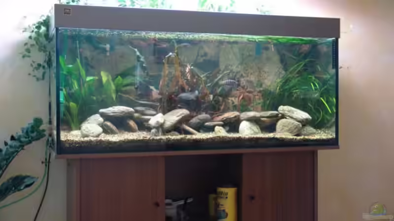 Aquarium Becken 4753 von Bianca Lorenz (2)