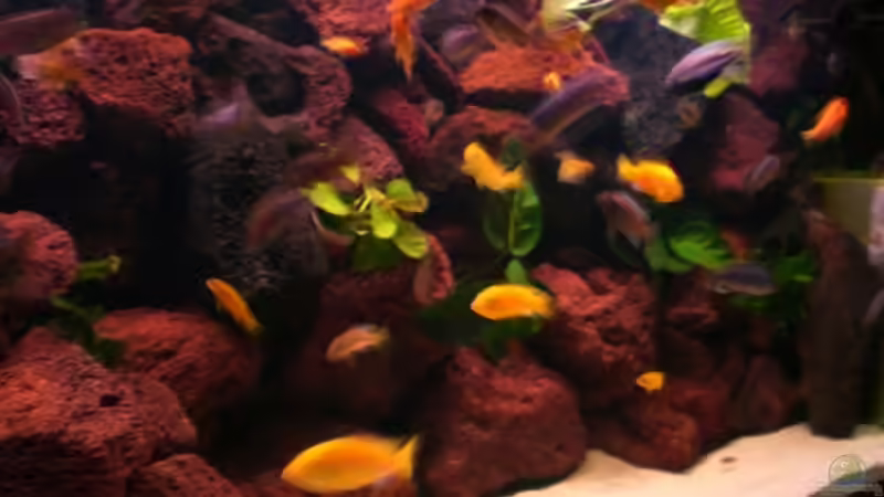 Aquarium Becken 4763 von Ismail Korkmaz (2)