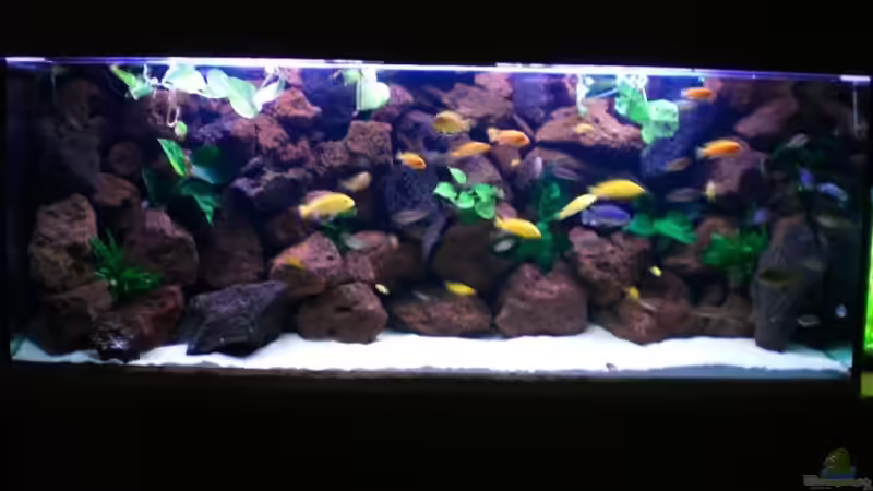 Aquarium Becken 4763 von Ismail Korkmaz (4)