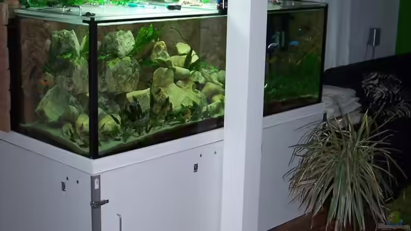 Aquarium Becken 4764 von Daniel Kurz (5)