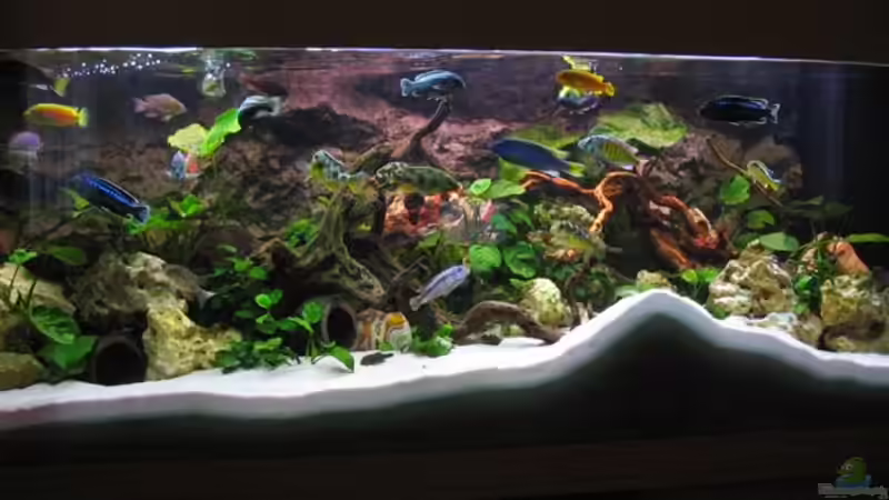 Aquarium Becken 4795 von Gabriel Lechner (2)