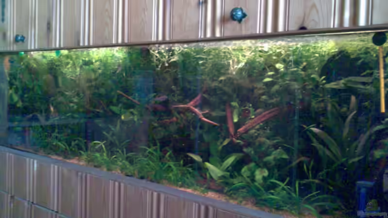 Aquarium Becken 4819 von Nico Nowotny (5)