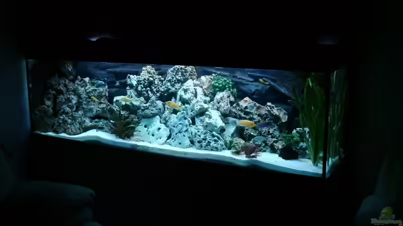 Aquarium Becken 4916 von Olli% (2)