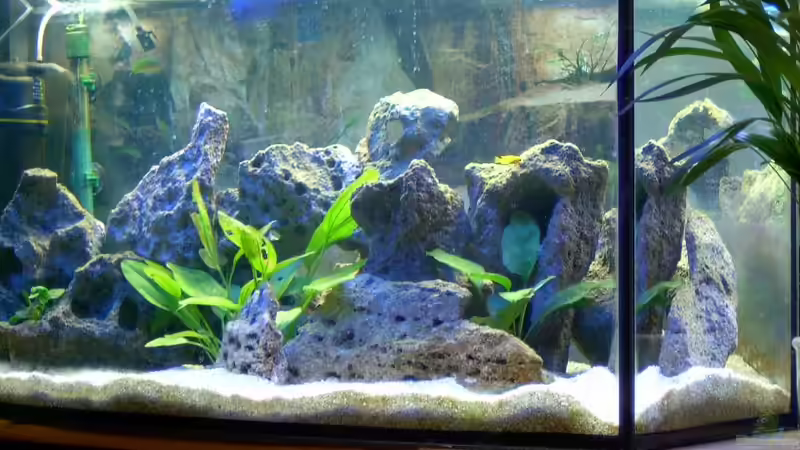 Aquarium Becken 492 von Christian Poser (3)