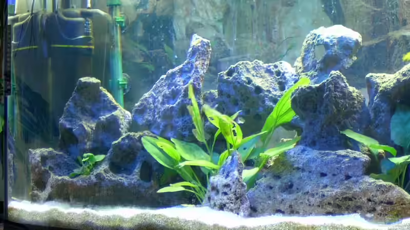 Aquarium Becken 492 von Christian Poser (4)