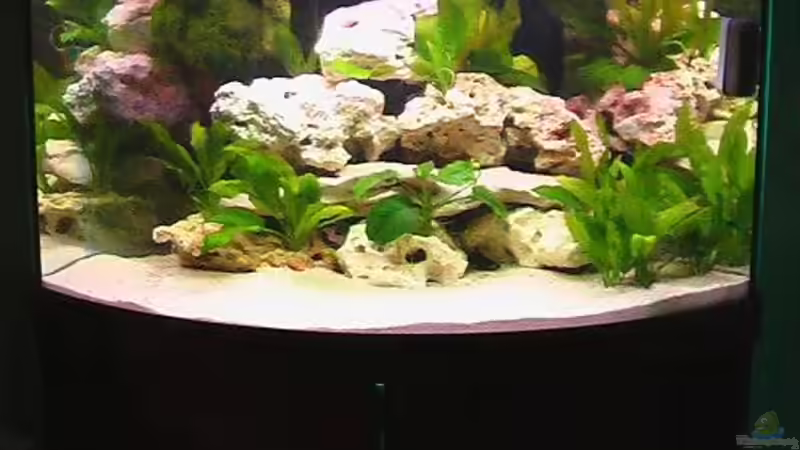 Aquarium Becken 4948 von Stefan Großmann (2)