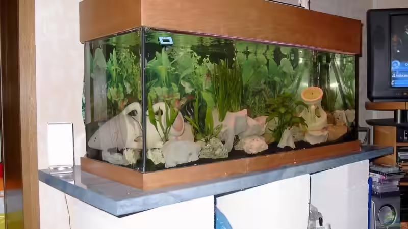 Aquarium Becken 4983 von Michael Wentzel (2)