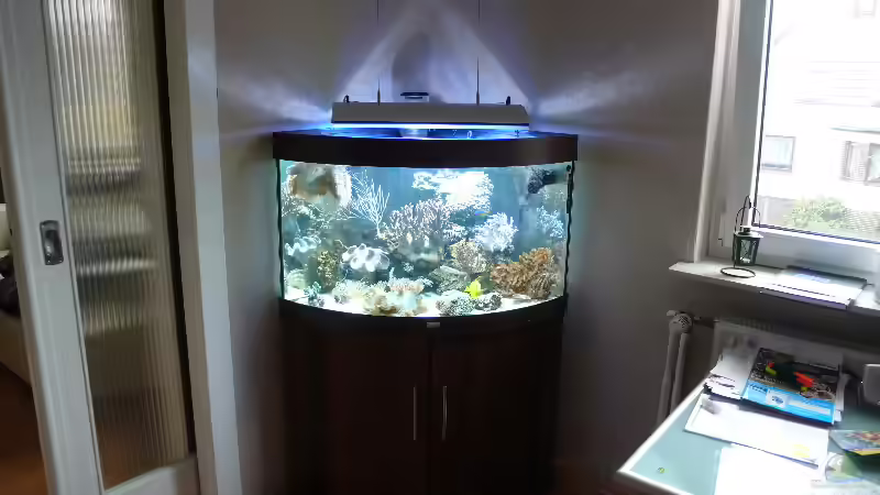 Aquarium Becken 4987 von Marcel Fischer (2)