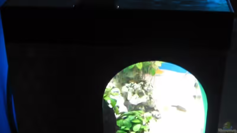 Aquarium Becken 4996 von Erik Colditz (3)