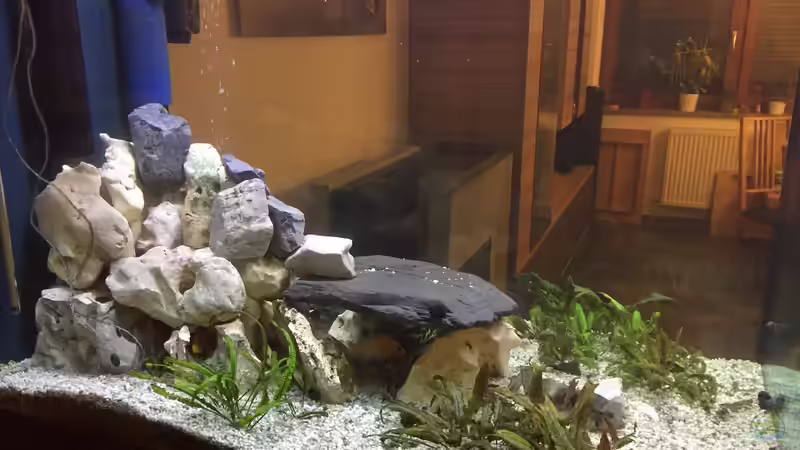 Aquarium Becken 5002 von PE_KI (4)