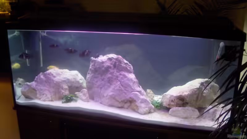 Aquarium Becken 5049 von Kevin Passing (2)