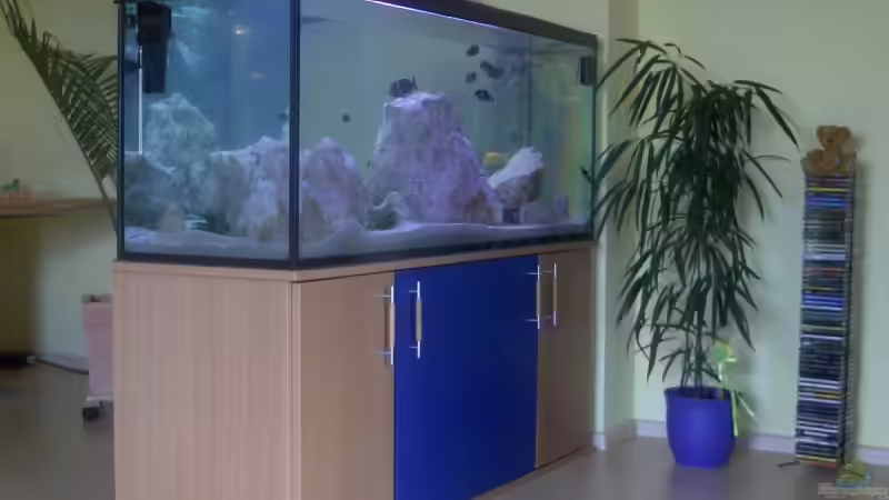 Aquarium Becken 5049 von Kevin Passing (3)