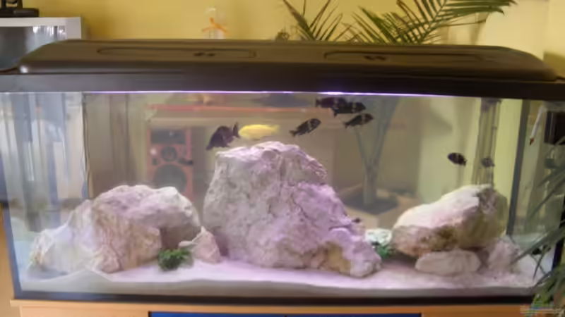 Aquarium Becken 5049 von KevP79 (4)