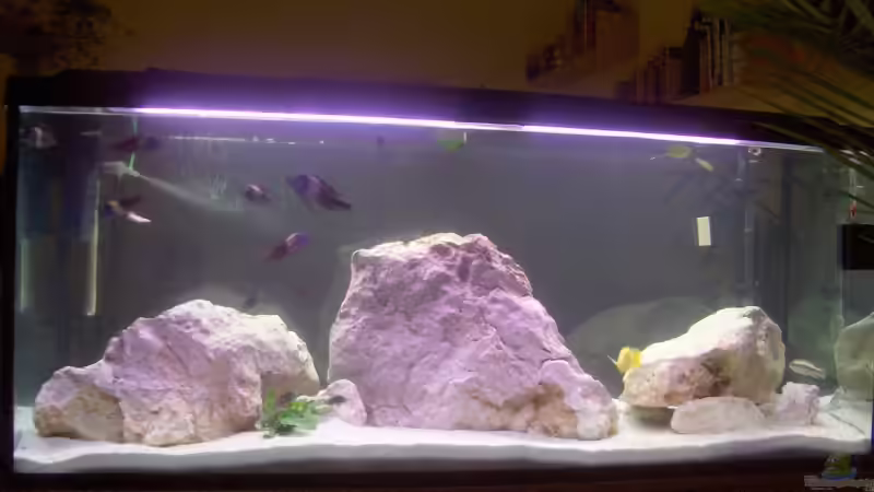 Aquarium Becken 5049 von KevP79 (6)