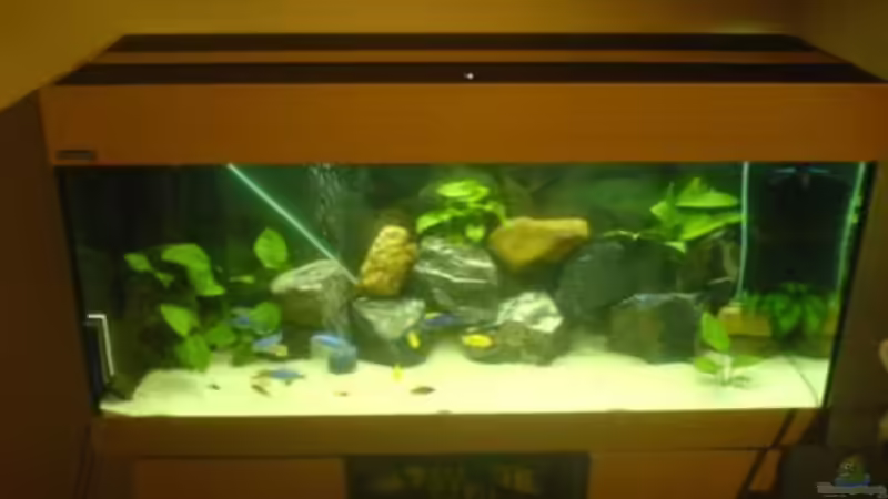 Aquarium Becken 5074 von Heiko Rodegast (2)