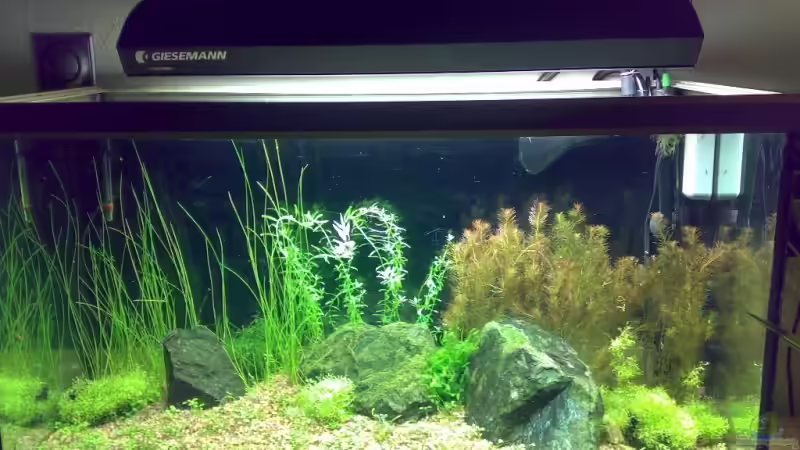 Aquarium Becken 5078 von David Nachtweih (2)