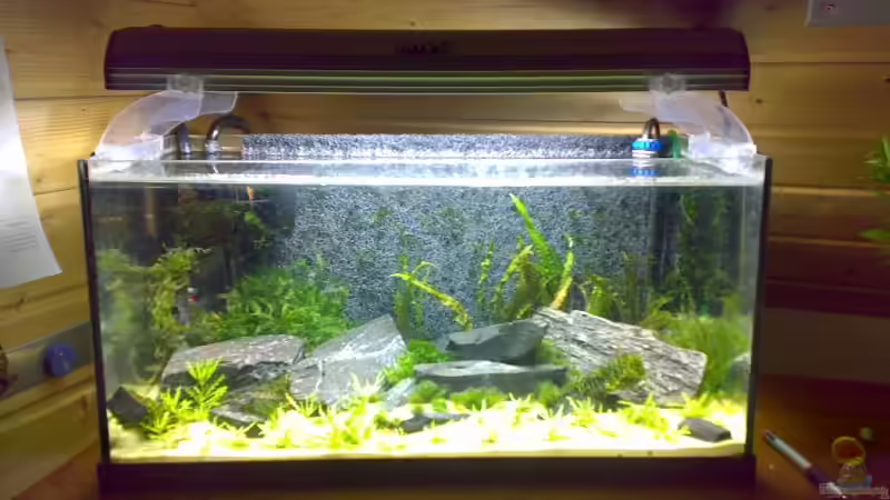 Aquarium Becken 5103 von David Nachtweih (2)