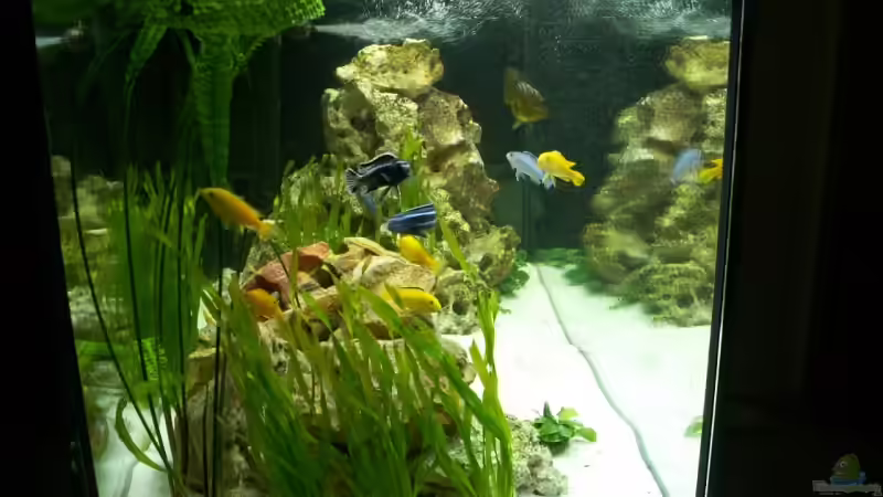 Aquarium Becken 5108 von Heiko Voigt (2)