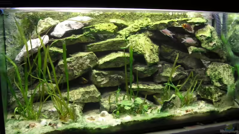 Aquarium Becken 511 von Sebastian Ruminski (2)