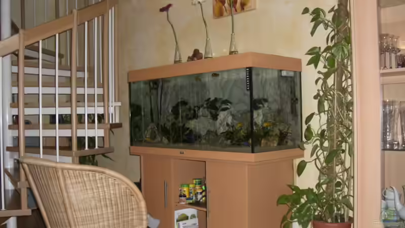 Aquarium Becken 5110 von maggo 28 (5)