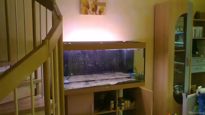 Aquarium Becken 5110 von maggo 28 (6)