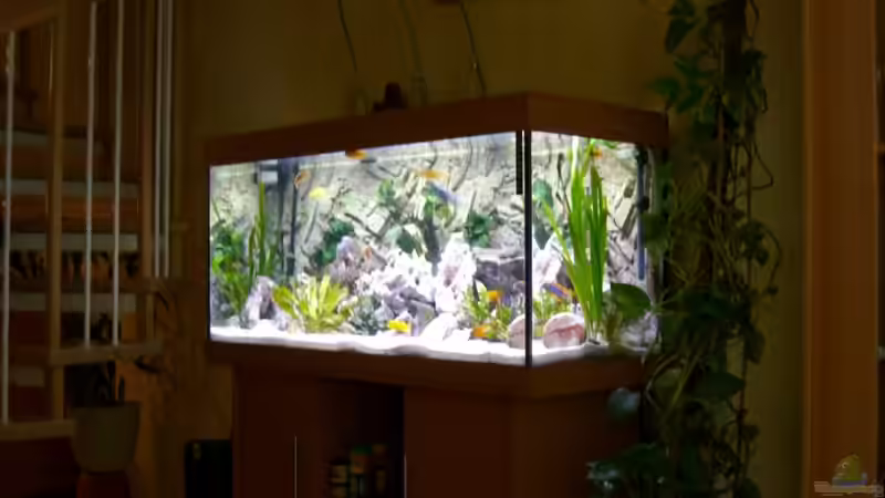 Aquarium Becken 5110 von maggo 28 (8)