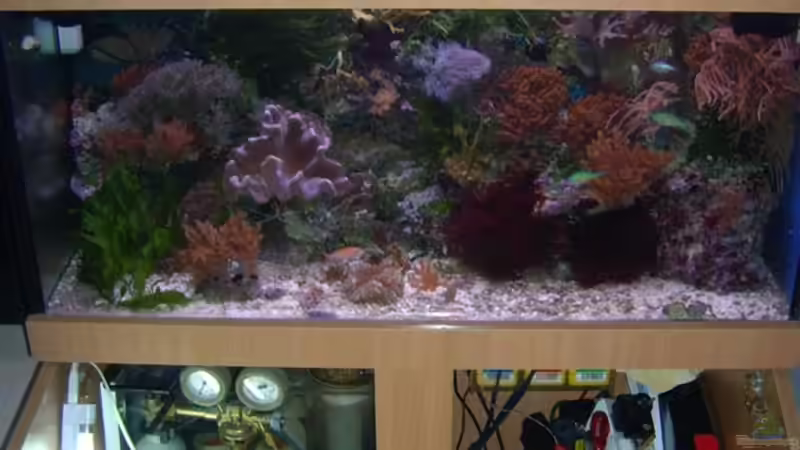 Aquarium Becken 5130 von Andre Kian (2)