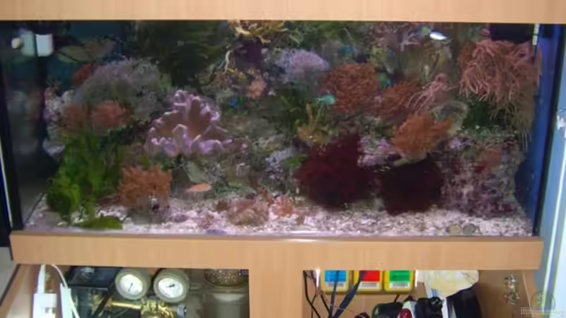 Aquarium Becken 5130 von Andre Kian (3)