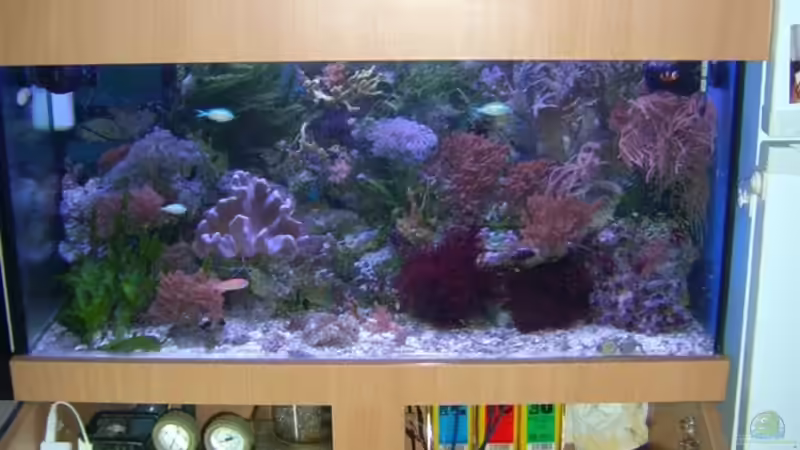 Aquarium Becken 5130 von Andre Kian (4)